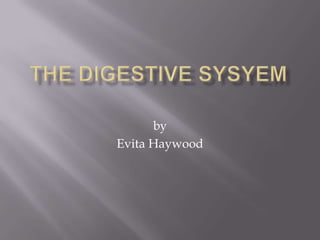 the digestive sysyem by Evita Haywood 