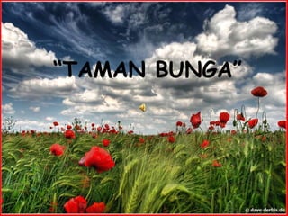 “TAMAN BUNGA” 