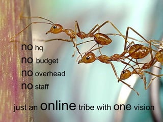 no  hq no   budget no  overhead  no  staff just an  online  tribe with  one  vision 