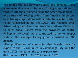 •To bridge the gap between supply and demand, there
were several attempts by local fishing corporations to
venture into tuna fishing to fill up the American demand.
•As a result of growing orders from American importers,
local fishing corporations with substantial capital started
to get organized during the 1960s, and financed small
fishers using hand liners and trolls in southern Mindanao
to catch tuna. Fishers from the provinces of central
Philippines (Visayas) were contracted to go to deeper
waters. The average fishing group consisted of 200
bancas.
•The proliferation of companies that bought tuna for
export to the US continued in Zamboanga City until the
early 1970s, increasing the total exports from
841 tonnes in 1969 to 11,376 tonnes in 1970
 