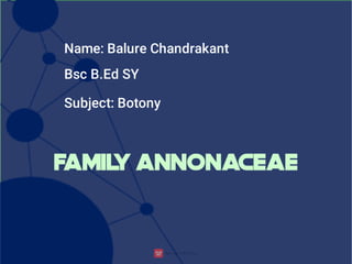 Name: Balure Chandrakant
Bsc B.Ed SY
Subject: Botony
Famil
y Annonaceae
 