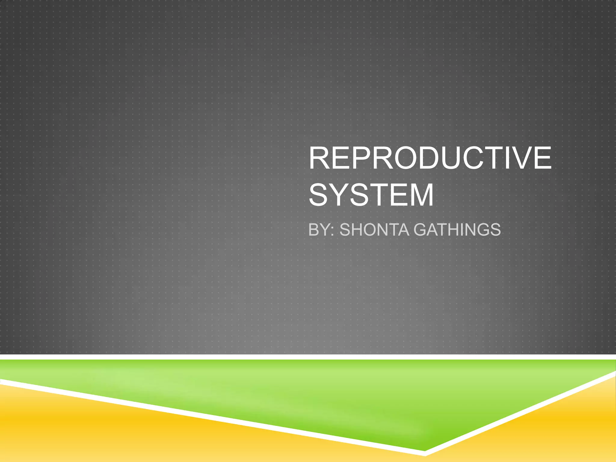 Presentation 10 | PPT