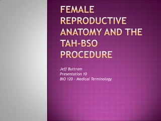 Female reproductive anatomy and the tah-bso procedure Jeff Buttram Presentation 10 BIO 120 - Medical Terminology 