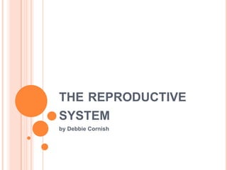the reproductive system by Debbie Cornish 