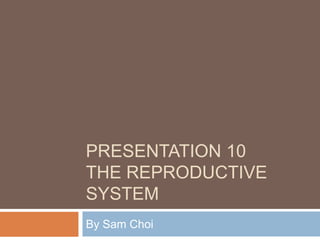 PRESENTATION 10
THE REPRODUCTIVE
SYSTEM
By Sam Choi
 