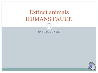 Extinct animals
HUMANS FAULT.

    SASKIA JUNGE
 