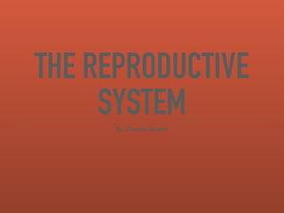 THE REPRODUCTIVE
SYSTEMBy; Chelsea Bustoz
 