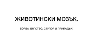 ЖИВОТИНСКИ МОЗЪК.
БОРБА, БЯГСТВО, СТУПОР И ПРИПАДЪК.
 