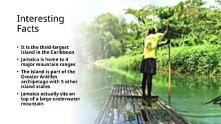 Interesting
Facts
• It is the third-largest
island in the Caribbean
• Jamaica is home to 4
major mountain ranges
• The island is part of the
Greater Antilles
archipelago with 5 other
island states
• Jamaica actually sits on
top of a large underwater
mountain
 