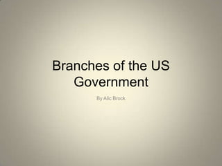 Branches of the US Government By Alic Brock 