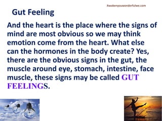 Gut Feeling
And the heart is the place where the signs of
mind are most obvious so we may think
emotion come from the heart. What else
can the hormones in the body create? Yes,
there are the obvious signs in the gut, the
muscle around eye, stomach, intestine, face
muscle, these signs may be called GUT
FEELINGS.
Awakenyouwonderfulwe.com
 