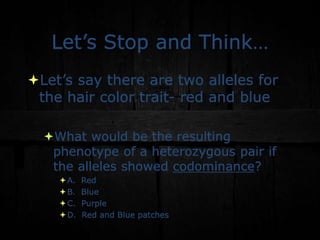 Let’s Stop and Think…
Let’s say there are two alleles for
the hair color trait- red and blue
What would be the resulting
phenotype of a heterozygous pair if
the alleles showed codominance?
A. Red
B. Blue
C. Purple
D. Red and Blue patches
 
