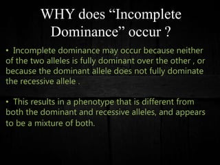 WHY does “Incomplete
Dominance” occur ?
• Incomplete dominance may occur because neither
of the two alleles is fully dominant over the other , or
because the dominant allele does not fully dominate
the recessive allele .
• This results in a phenotype that is different from
both the dominant and recessive alleles, and appears
to be a mixture of both.
 