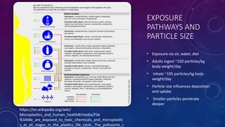 exposure pathways, physiological interactions, and toxicity Mechanisms ...