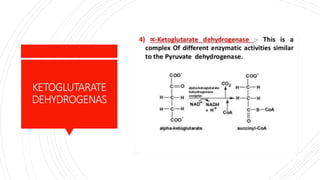KETOGLUTARATE
DEHYDROGENAS
 