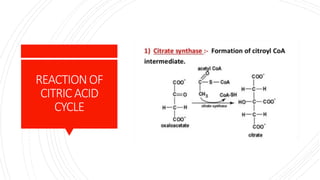 REACTIONOF
CITRICACID
CYCLE
 