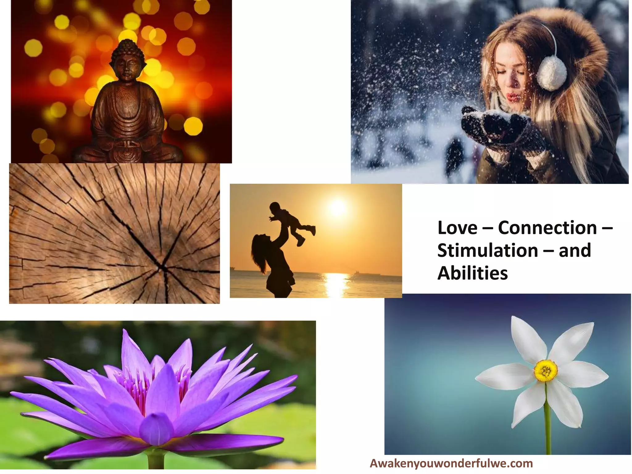 Awakenyouwonderfulwe.com
Love – Connection –
Stimulation – and
Abilities
 