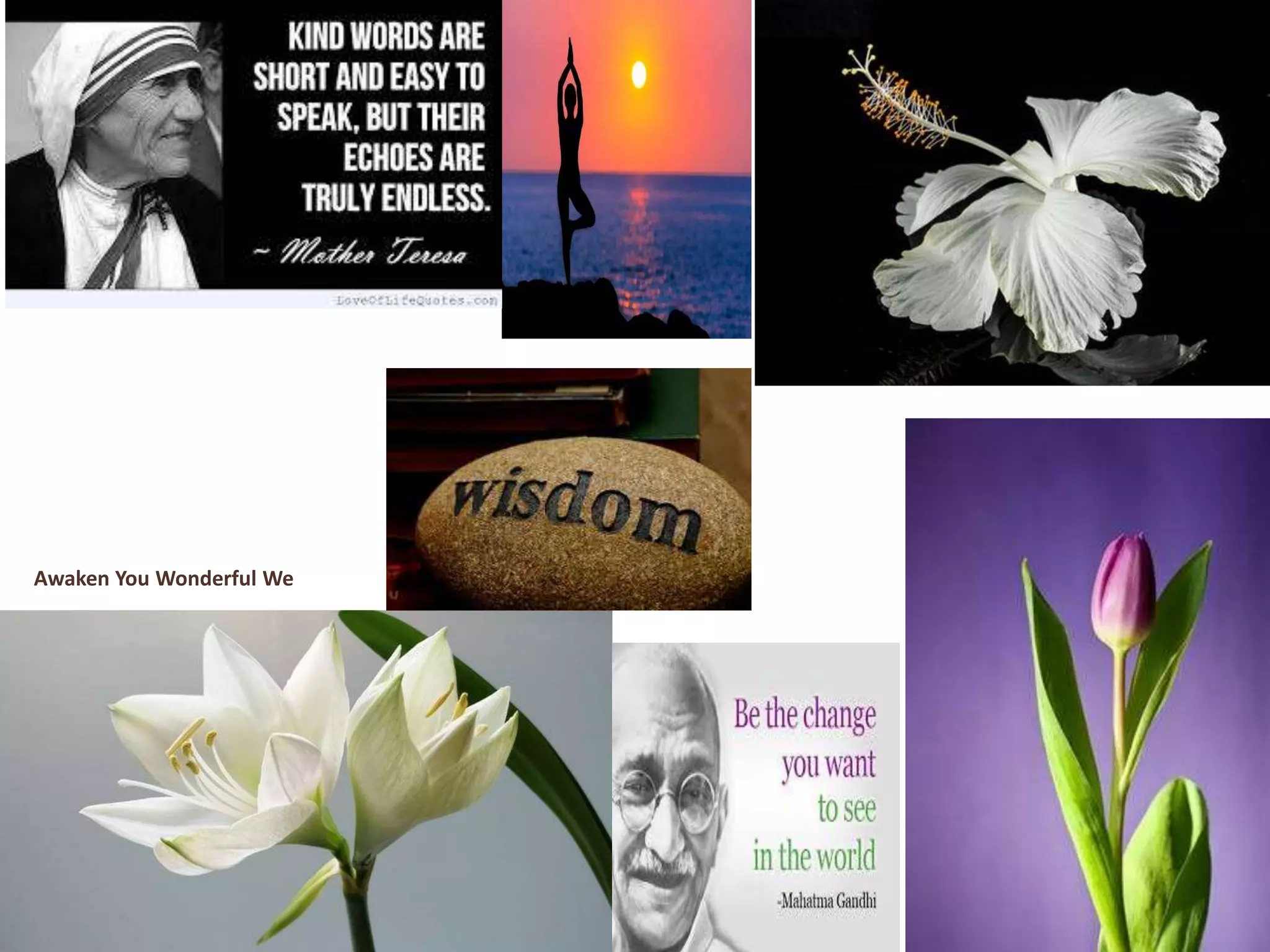 Awaken You Wonderful We
 