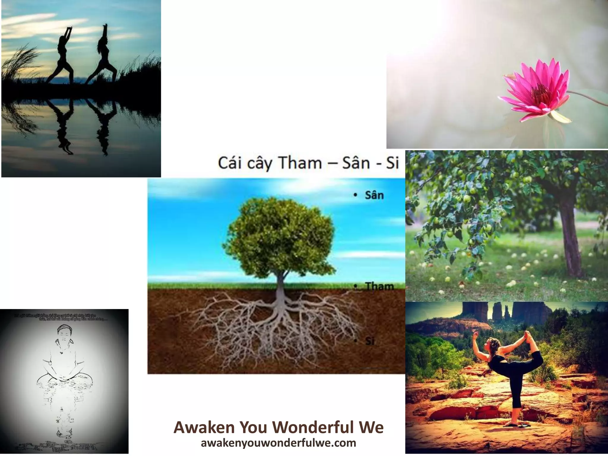 Awaken You Wonderful We
awakenyouwonderfulwe.com
 