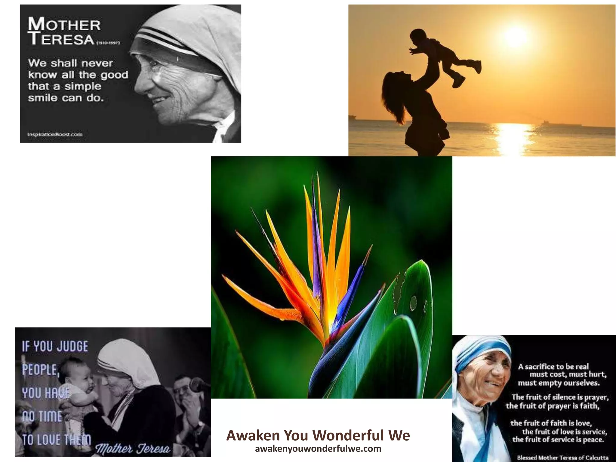 Awaken You Wonderful We
awakenyouwonderfulwe.com
 