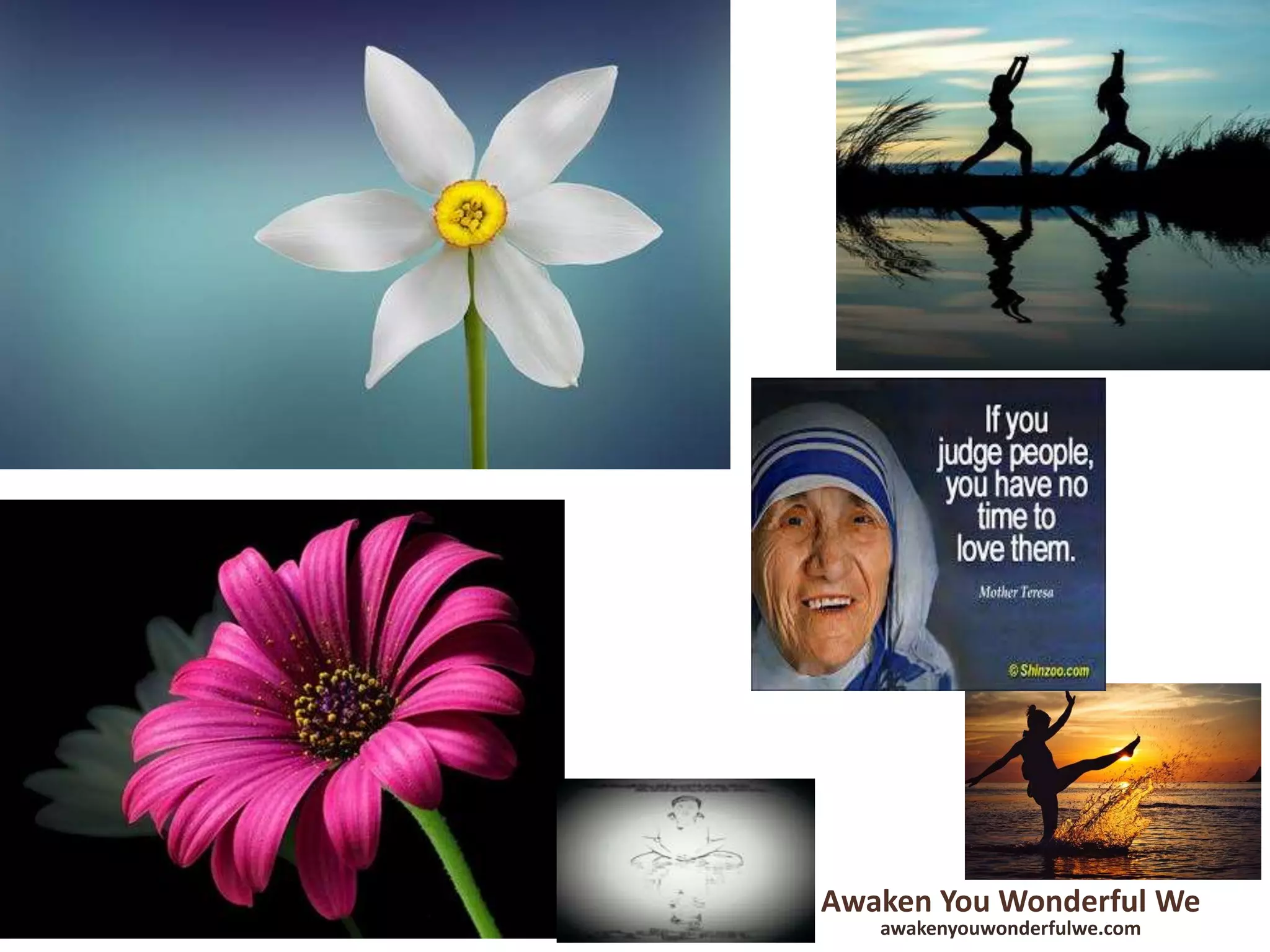 Awaken You Wonderful We
awakenyouwonderfulwe.com
 