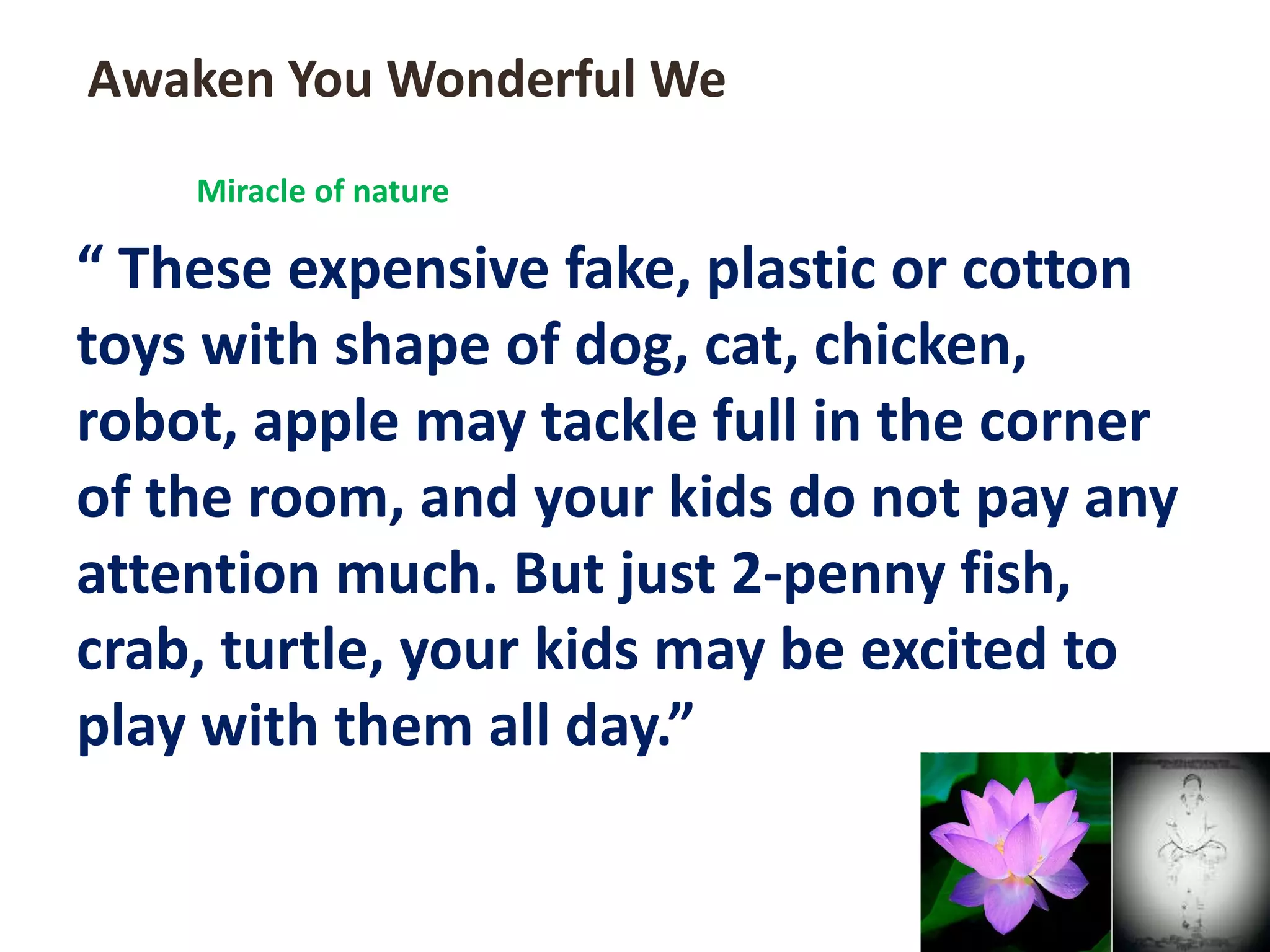 “ These expensive fake, plastic or cotton
toys with shape of dog, cat, chicken,
robot, apple may tackle full in the corner
of the room, and your kids do not pay any
attention much. But just 2-penny fish,
crab, turtle, your kids may be excited to
play with them all day.”
Awaken You Wonderful We
Miracle of nature
 