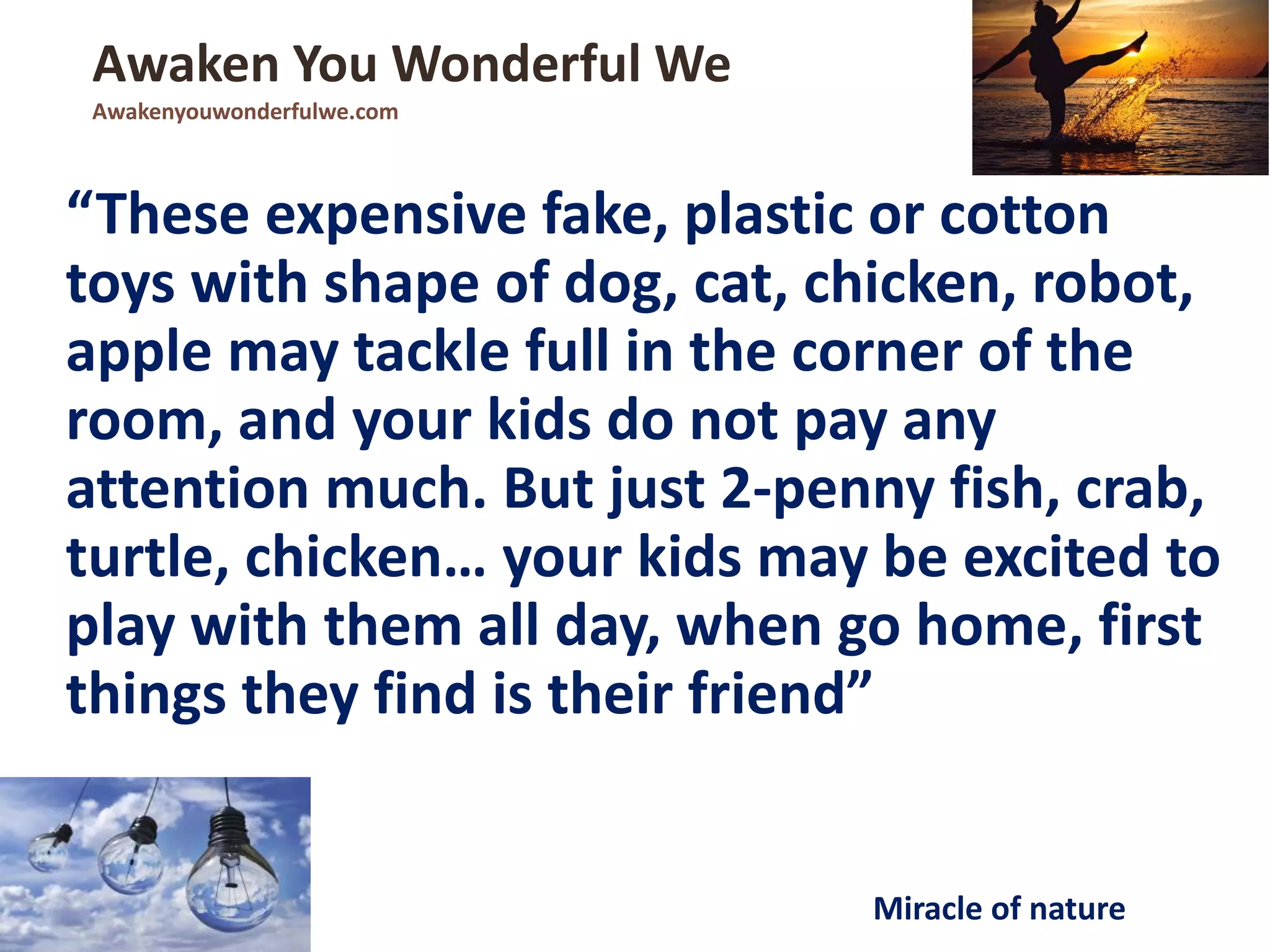 “These expensive fake, plastic or cotton
toys with shape of dog, cat, chicken, robot,
apple may tackle full in the corner of the
room, and your kids do not pay any
attention much. But just 2-penny fish, crab,
turtle, chicken… your kids may be excited to
play with them all day, when go home, first
things they find is their friend”
Awaken You Wonderful We
Awakenyouwonderfulwe.com
Miracle of nature
 