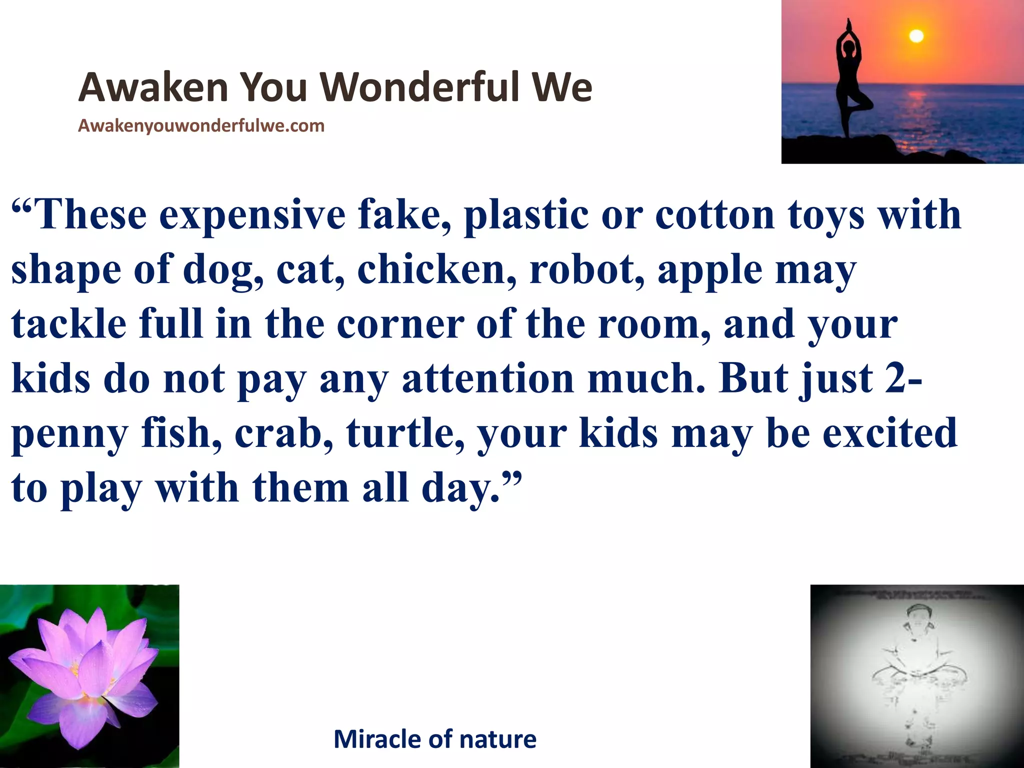 “These expensive fake, plastic or cotton toys with
shape of dog, cat, chicken, robot, apple may
tackle full in the corner of the room, and your
kids do not pay any attention much. But just 2-
penny fish, crab, turtle, your kids may be excited
to play with them all day.”
Awaken You Wonderful We
Awakenyouwonderfulwe.com
Miracle of nature
 