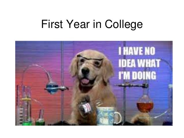 first year college first year college
