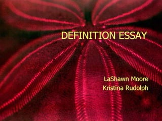 DEFINITION ESSAY
LaShawn Moore
Kristina Rudolph
 