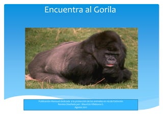 Encuentra al Gorila




Publicación Mensual dedicada a la protección de los animales en vía de Extinción
                 Revista Diseñada por : Mauricio Villabona G.
                                 Agosto 2011
 