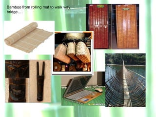 Bamboo from rolling mat to walk way
bridge….
 