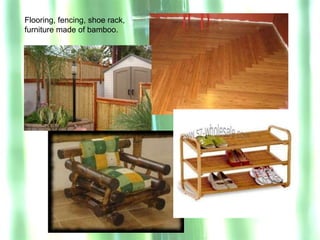 Flooring, fencing, shoe rack,
furniture made of bamboo.
 