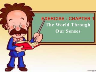 EXERCISE : CHAPTER 1
 The World Through
     Our Senses
 