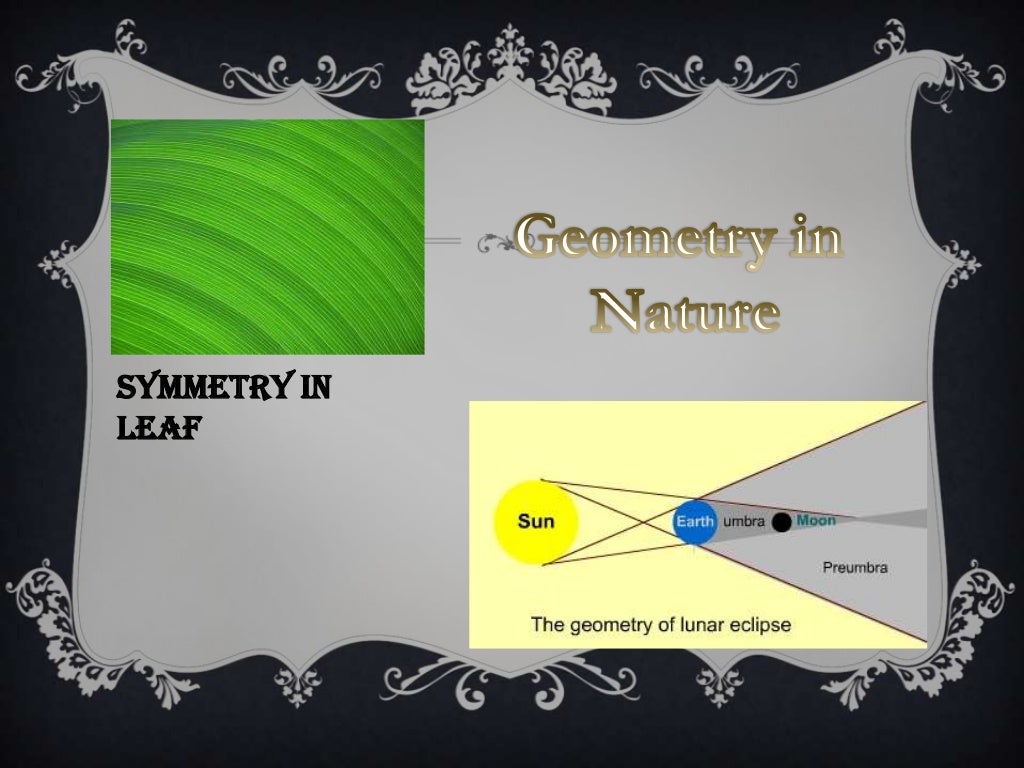 PPT on Geometry in our Daily life..