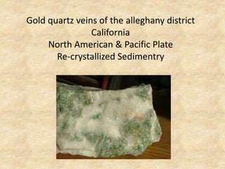 Gold quartz veins of the alleghany district
California
North American & Pacific Plate
Re-crystallized Sedimentry
 