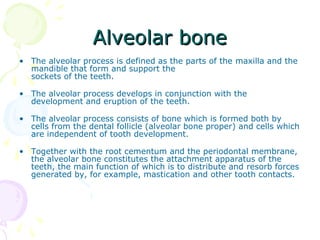 Alveolar boneAlveolar bone
• The alveolar process is defined as the parts of the maxilla and the
mandible that form and support the
sockets of the teeth.
• The alveolar process develops in conjunction with the
development and eruption of the teeth.
• The alveolar process consists of bone which is formed both by
cells from the dental follicle (alveolar bone proper) and cells which
are independent of tooth development.
• Together with the root cementum and the periodontal membrane,
the alveolar bone constitutes the attachment apparatus of the
teeth, the main function of which is to distribute and resorb forces
generated by, for example, mastication and other tooth contacts.
 