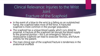Clinical Relevance: Injuries to the Wrist
Joint
Fracture of the Scaphoid
 In the event of a blow to the wrist (e.g falling on an outstretched
hand), the scaphoid takes most of the force. A fractured
scaphoid is more common in the younger population.
 The scaphoid has a unique blood supply, which runs distal to
proximal. A fracture of the scaphoid can disrupt the blood supply
to the proximal portion – this is an emergency. Failure to
revascularise scaphoid can lead to avascular necrosis, and future
arthritis for the patient.
 The main clinical sign of the scaphoid fracture is tenderness in the
anatomical snuffboxt.hecom thyo.ger population.
 