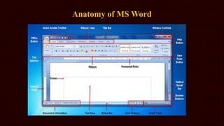 MS Word 