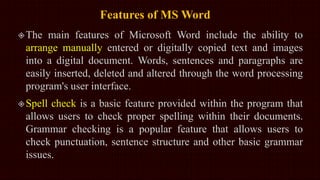 MS Word 