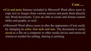 MS Word 