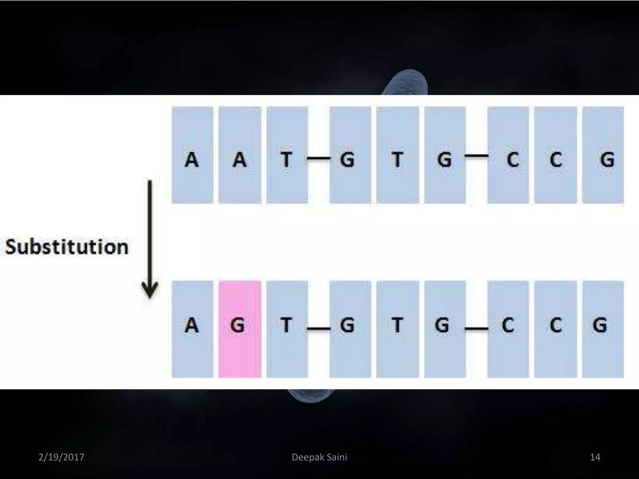 2/19/2017 14Deepak Saini
 