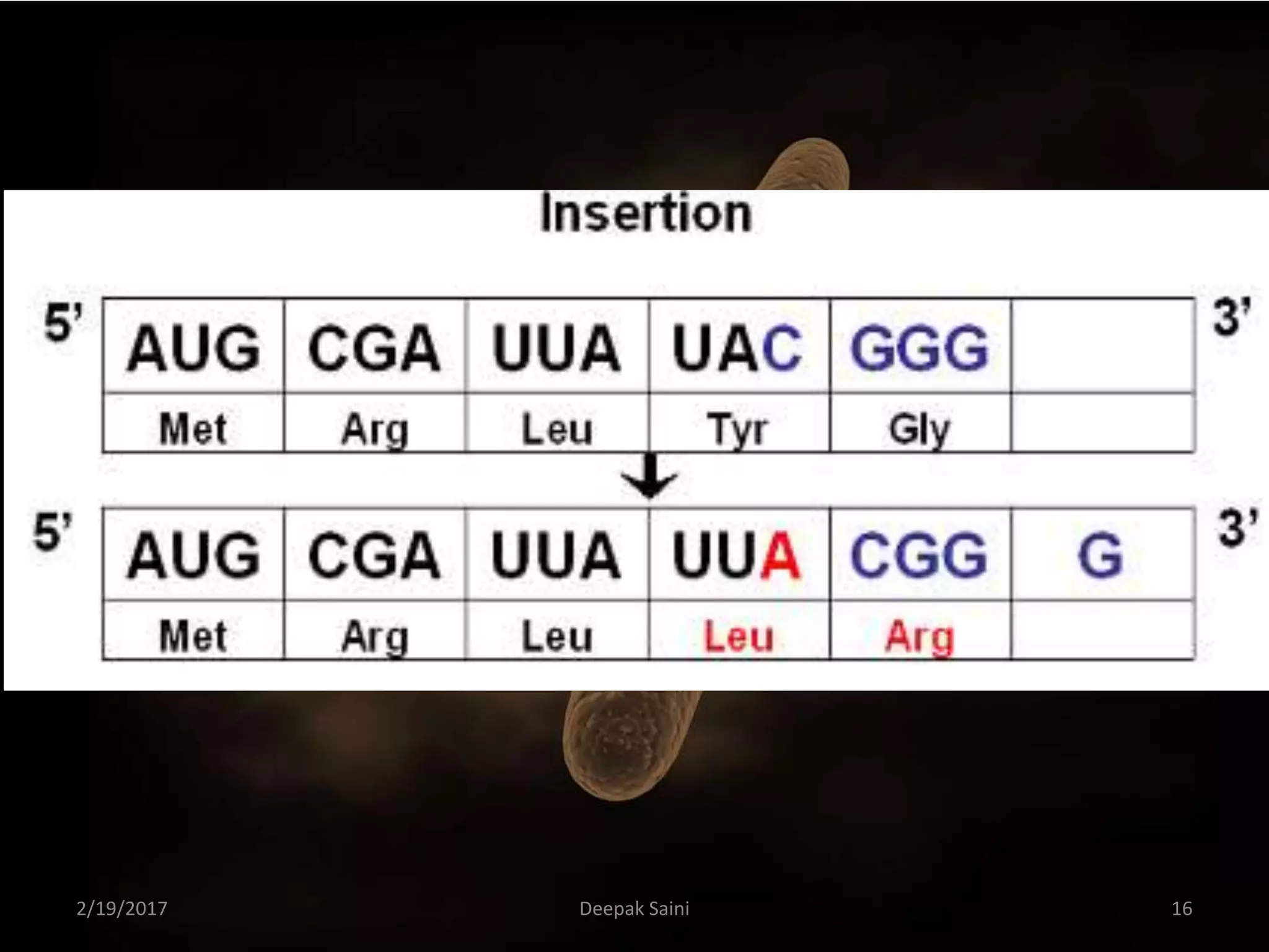 2/19/2017 16Deepak Saini
 