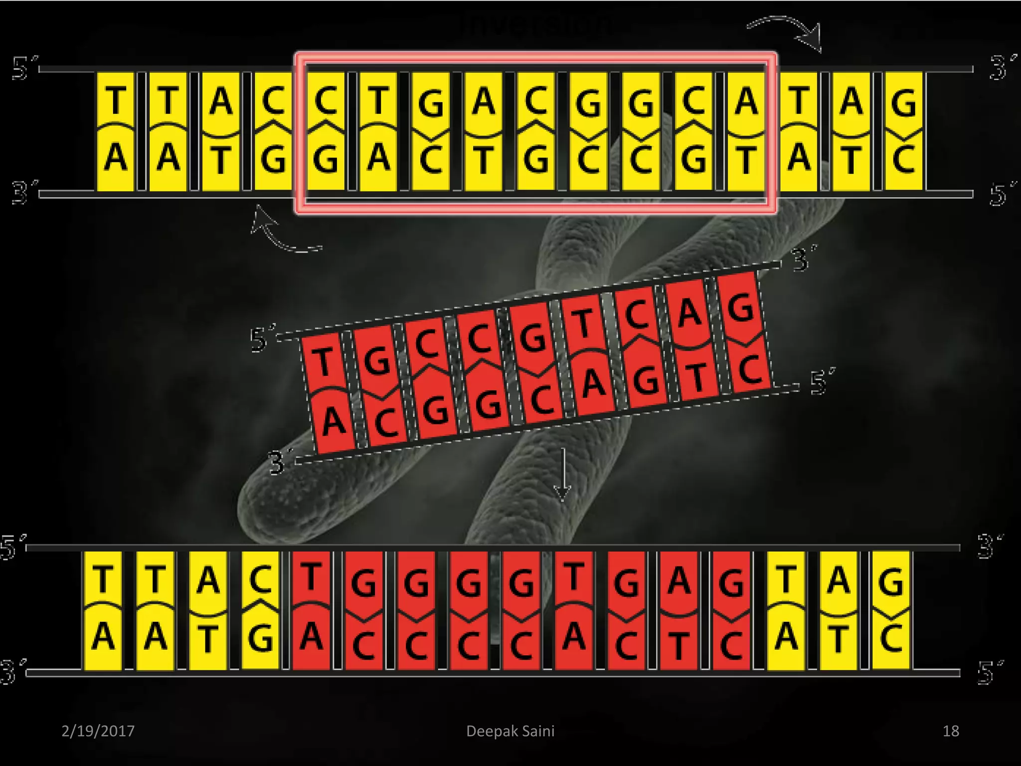 2/19/2017 18Deepak Saini
 