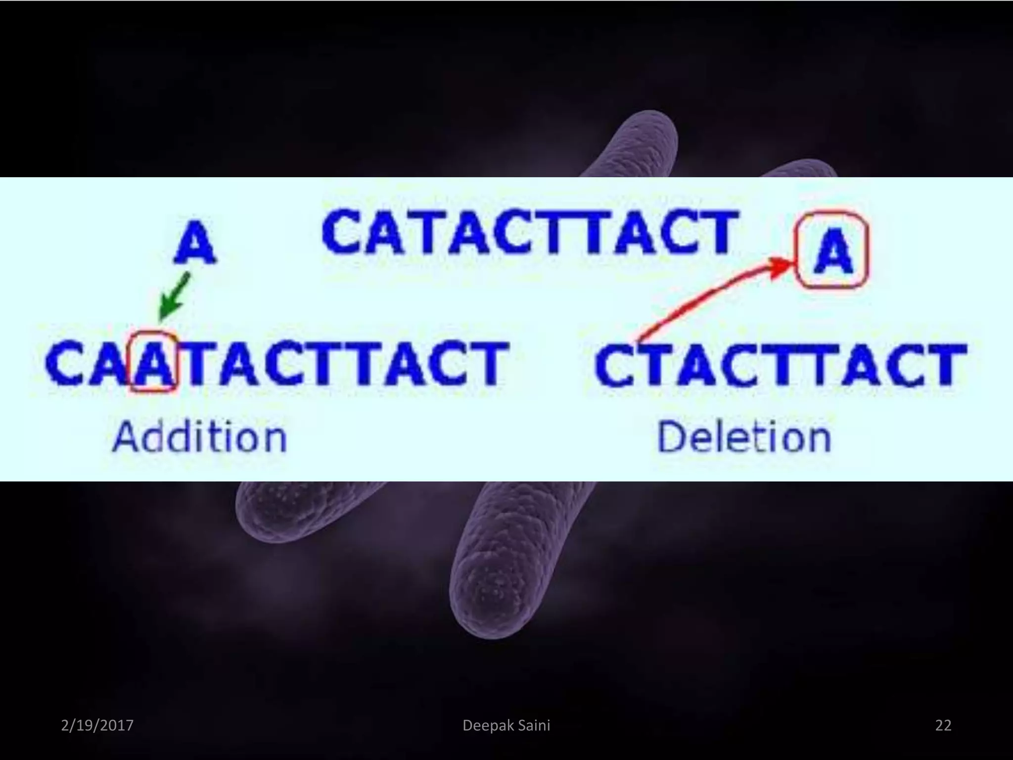 2/19/2017 22Deepak Saini
 