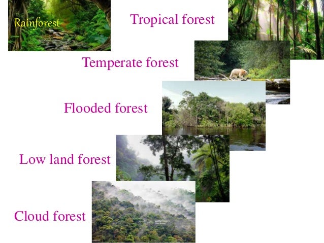 TYPES OF ECOSYSTEM