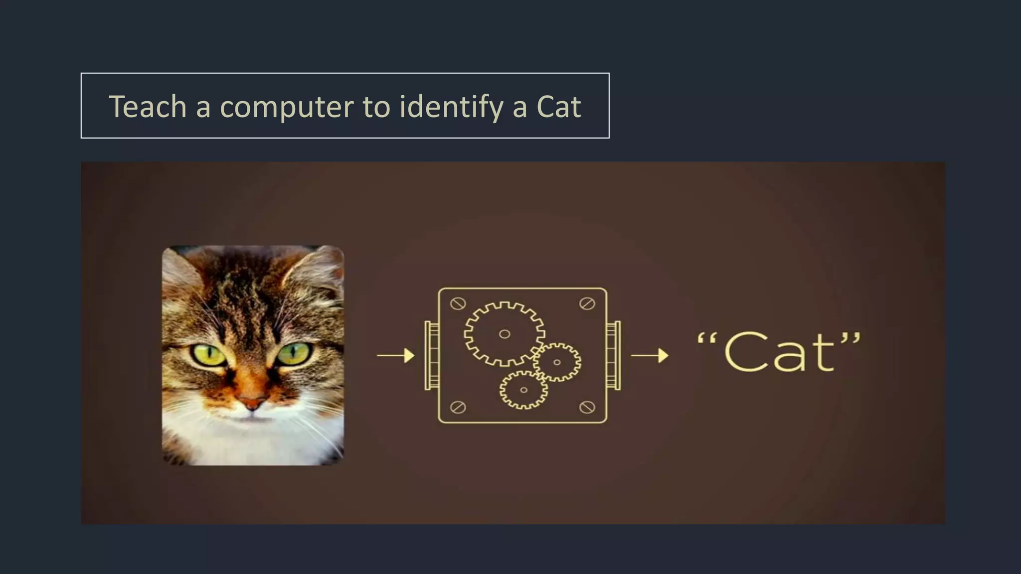 Teach a computer to identify a Cat
 