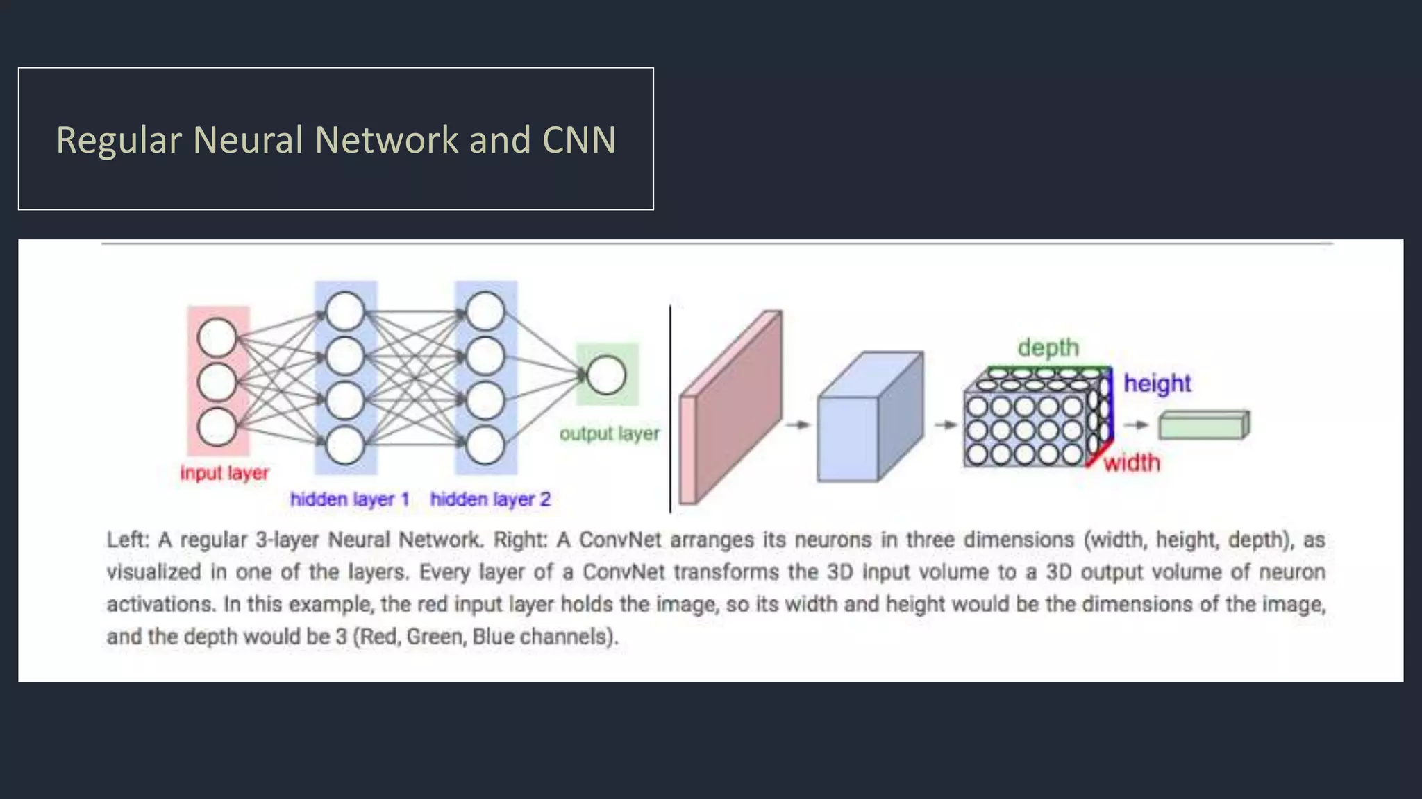 Regular Neural Network and CNN
 