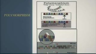 polymorphism | PPTX