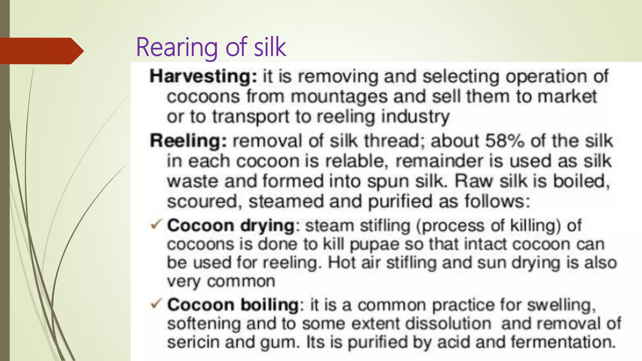 Rearing of silk
 